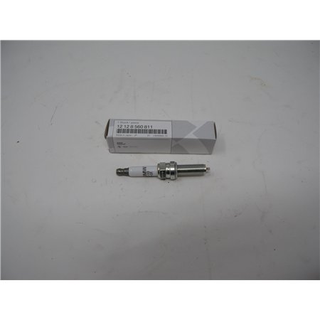 Spark Plug R1250-