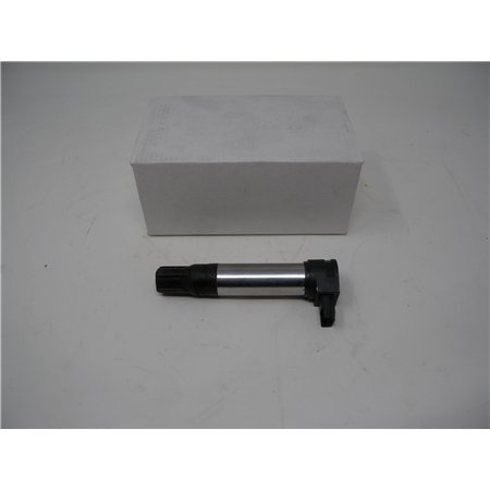 Ign Coil R1200-
