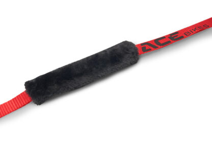 Buckle-Up  Pk 2 - Image 2