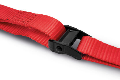 Buckle-Up  Pk 2 - Image 3