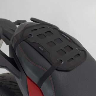 PRO Base Holster with MOLLE-Patch.