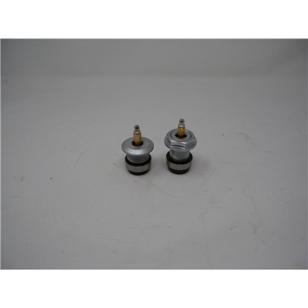 Pivot Kit 2x bg. 2x pins upgrade kit