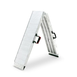 Ramp Pro 117x25x18