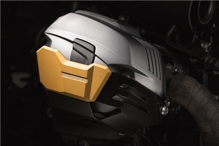 Cylinder guard Golden BMW R1200 R / GS / Adv, R nineT